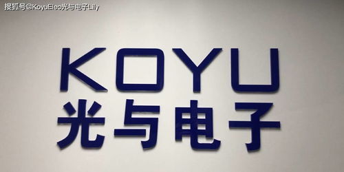 數字文化新體驗 維安、光與電子及數字創意服務的融合之路